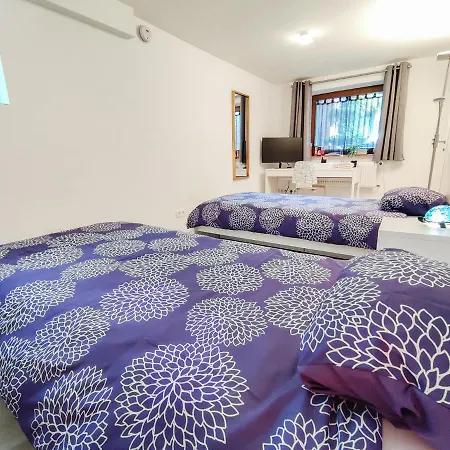Apartment Tranquil Haven Close To Airport & Basel