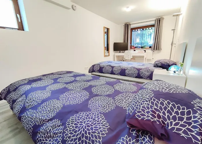 Apartment Quiet Studio - Personal Welcome - Near Basel